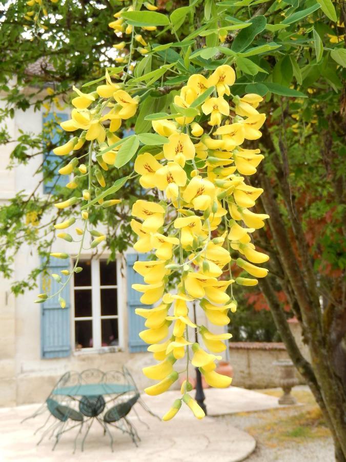 Une Parenthese En Champagne Jaucourt Exterior foto