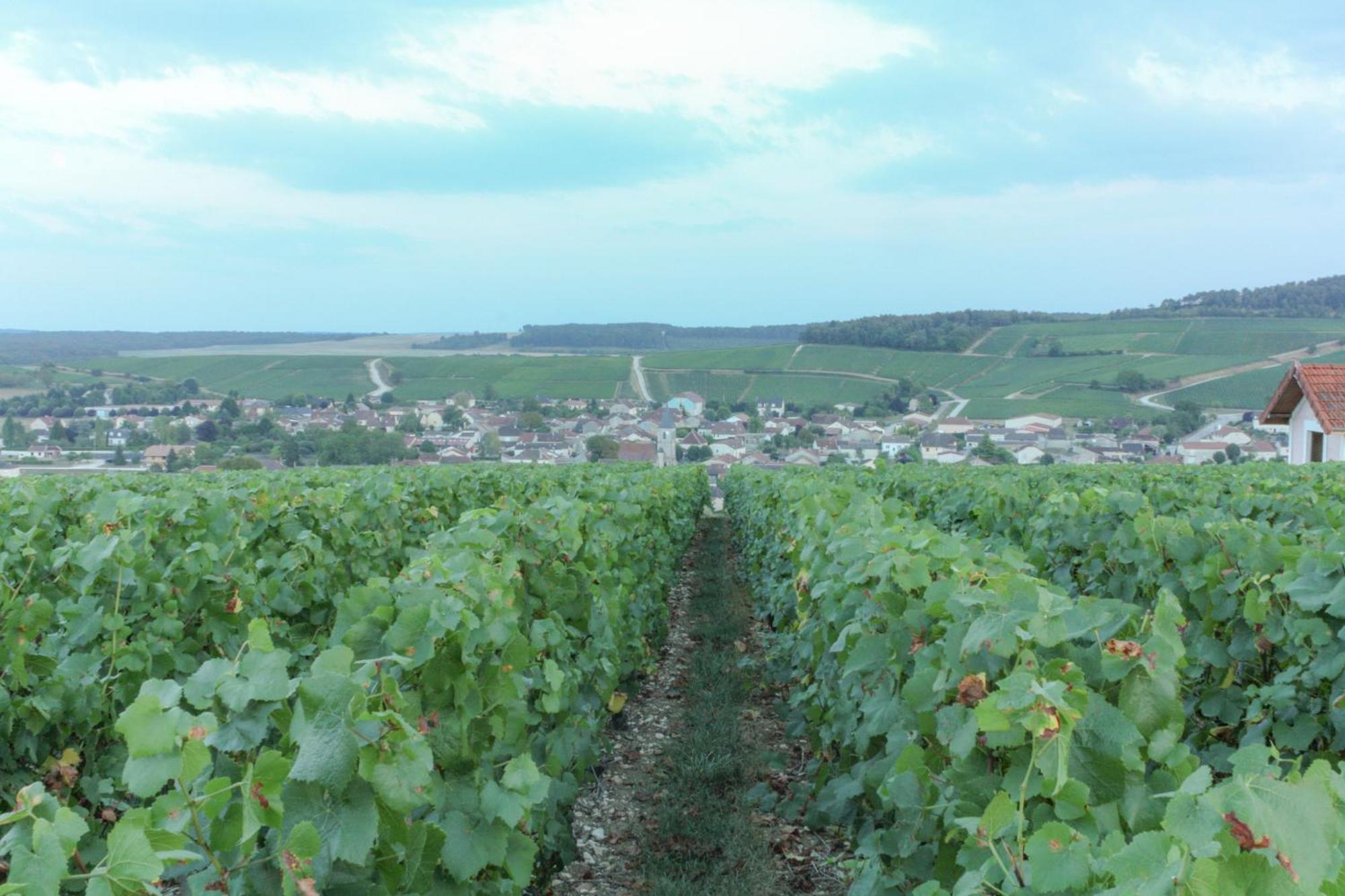 Une Parenthese En Champagne Jaucourt Exterior foto